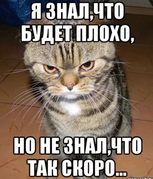 Совсем дальше