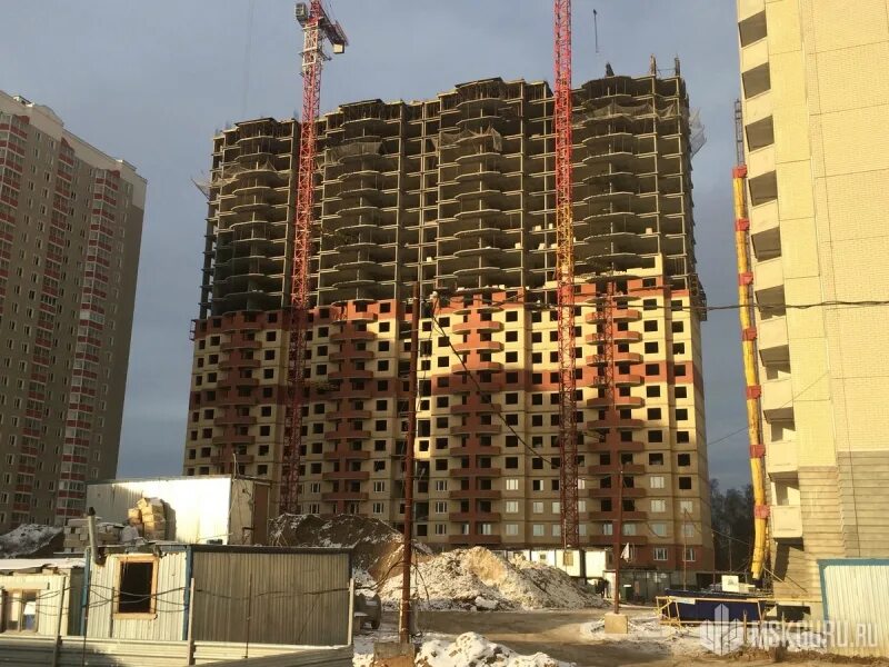 Гранель новая алексеевская роща. Алексеевская роща отзывы. Лукино балашиха алексеевская роща. Алексеевская роща балашиха. Алексеевская роща балашиха.