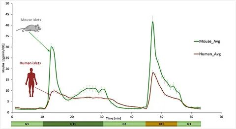 Timing profile
