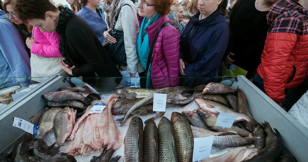 Купили на рынке рыбу. Рыба на рынке. Рыбный рынок в Москве. Живая рыба на рынке. Рыбная ярмарка в Москве.
