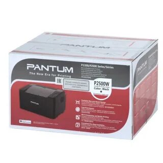 2500 w