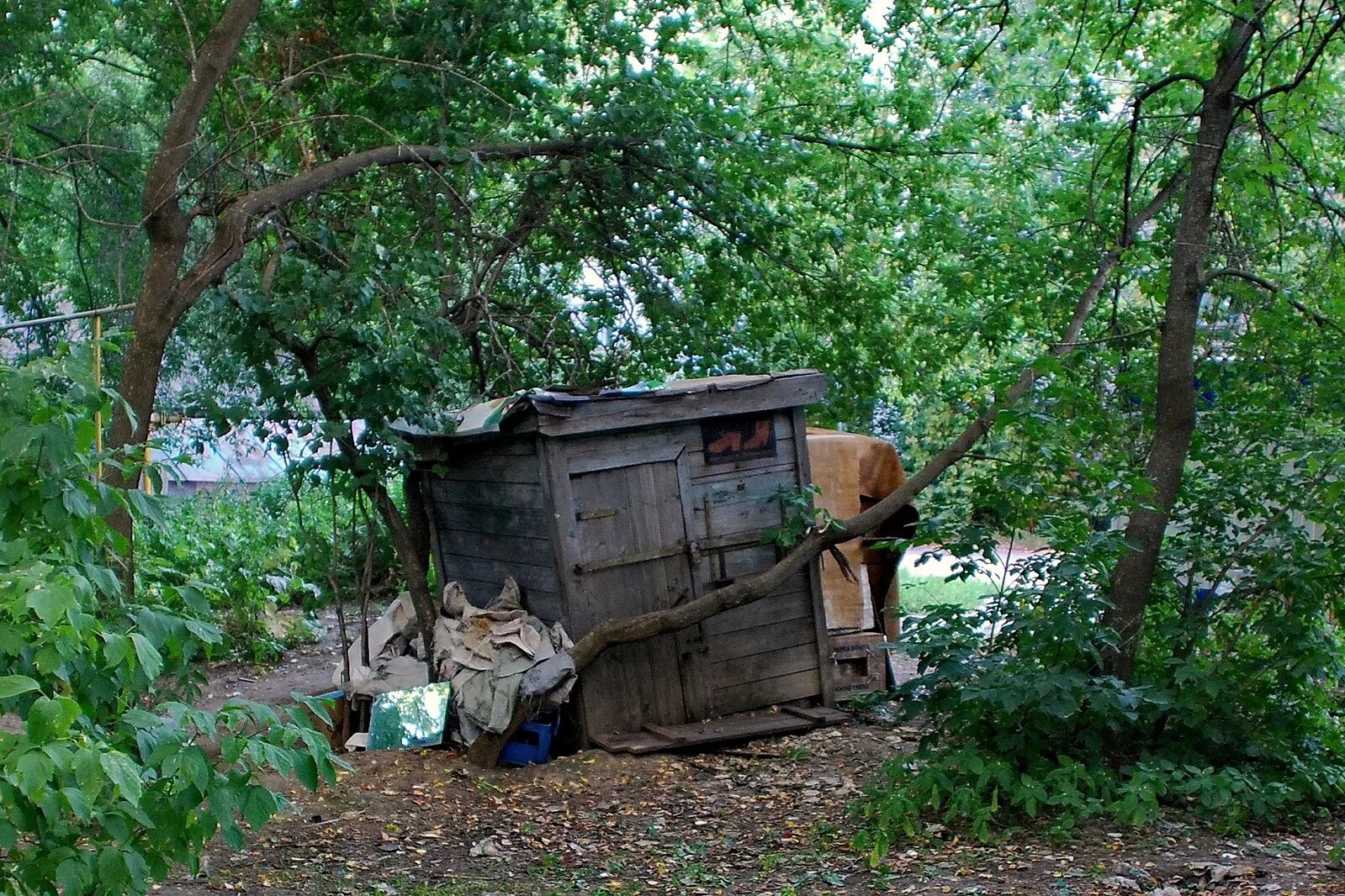 Домики бомжей в лесу. Хижина бомжа. Шалаш бомжа