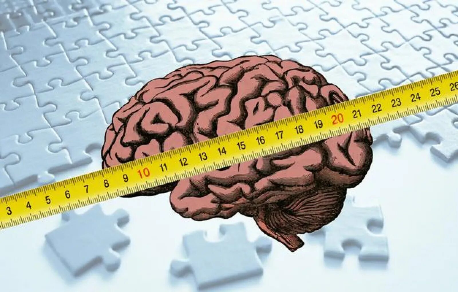 Проверка интеллектуальных способностей. Ваш интеллект. Ваш интеллект. Результаты iq теста. Ваш интеллект.
