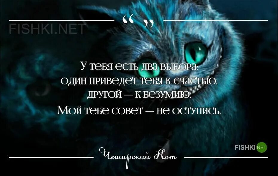 Чеширский кот из алисы цитаты. Алиса в стране чудес цитаты кота. Фразы чеширского кота из алисы в стране чудес. Цитаты из алисы в стране чудес про безумие. Высказывания чеширского кота из алисы в стране.