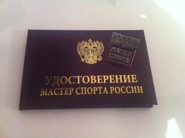 Кмс мс мсмк