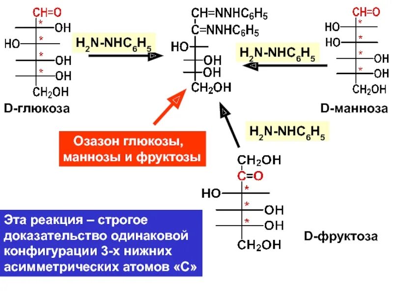 D манноза +h2. Реакция взаимодействия Глюкозы с nh3. Синтез маннозы из фруктозы. Манноза nh2. Фруктоза и водород