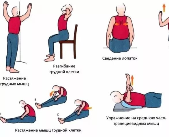 Лфк при остеохондрозе шейно грудном отделе позвоночника. Остеохондроз упражнения. Упражнения при остеохондрозе. Упражнения для грудного отдела позвоночника. Упражнения для спины и шеи при остеохондрозе.
