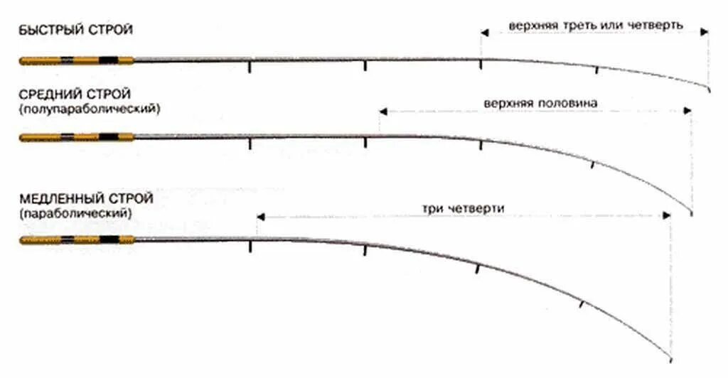 Названия спиннингов. Строение фидерного удилища. средне быстрый строй фидера. строй спиннинга актион. строй спиннинговых удилищ таблица.