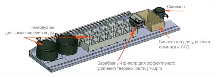 Стандартная узв состоит из нескольких основных узлов. Барабанный фильтр для узв чертежи. скиммер промышленный для узв. барабанный биореактор. аммиак в узв.
