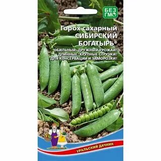 Сибирский богатырь