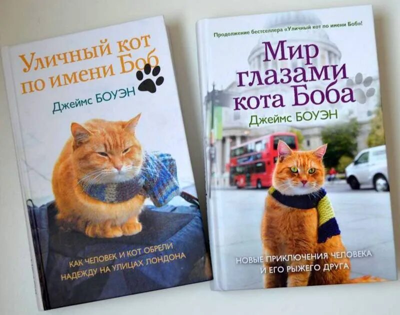 Кот по имени боб читать. Боуэн мир глазами кота боба книга. джеймс боуэн мир глазами кота боба. боуэн мир глазами кота боба. боуэн д. мир глазами кота боба.