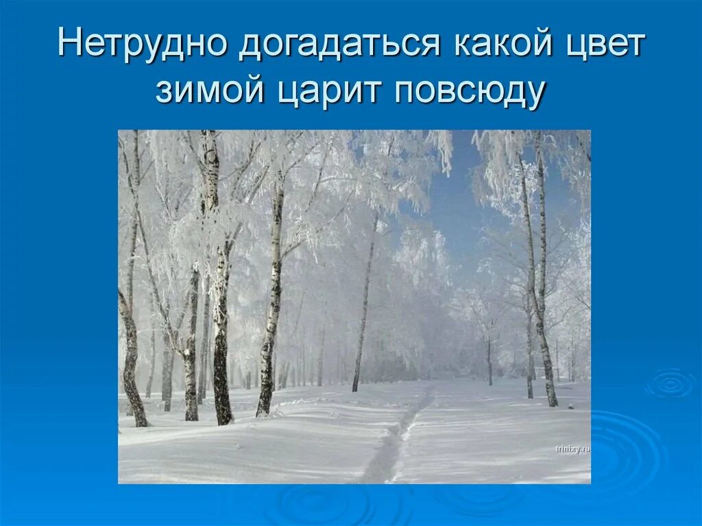 Зимние явления в неживой природе. Зимние изменения в живой природе. Зимние явления природы для детей. Неживая природа зимой картинки. Зимние явления неживой природы 2