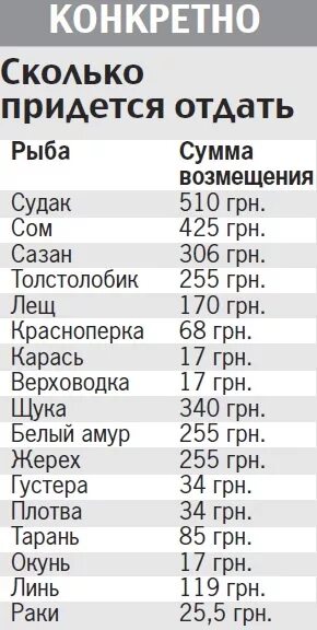 Штраф за тайменя. Штрафы за рыбу. Штраф за незаконную ловлю рыбы. Штраф за рыбалку. Разрешённый размер вылавливаемой рыбы.
