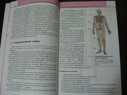 Учебник по первой помощи