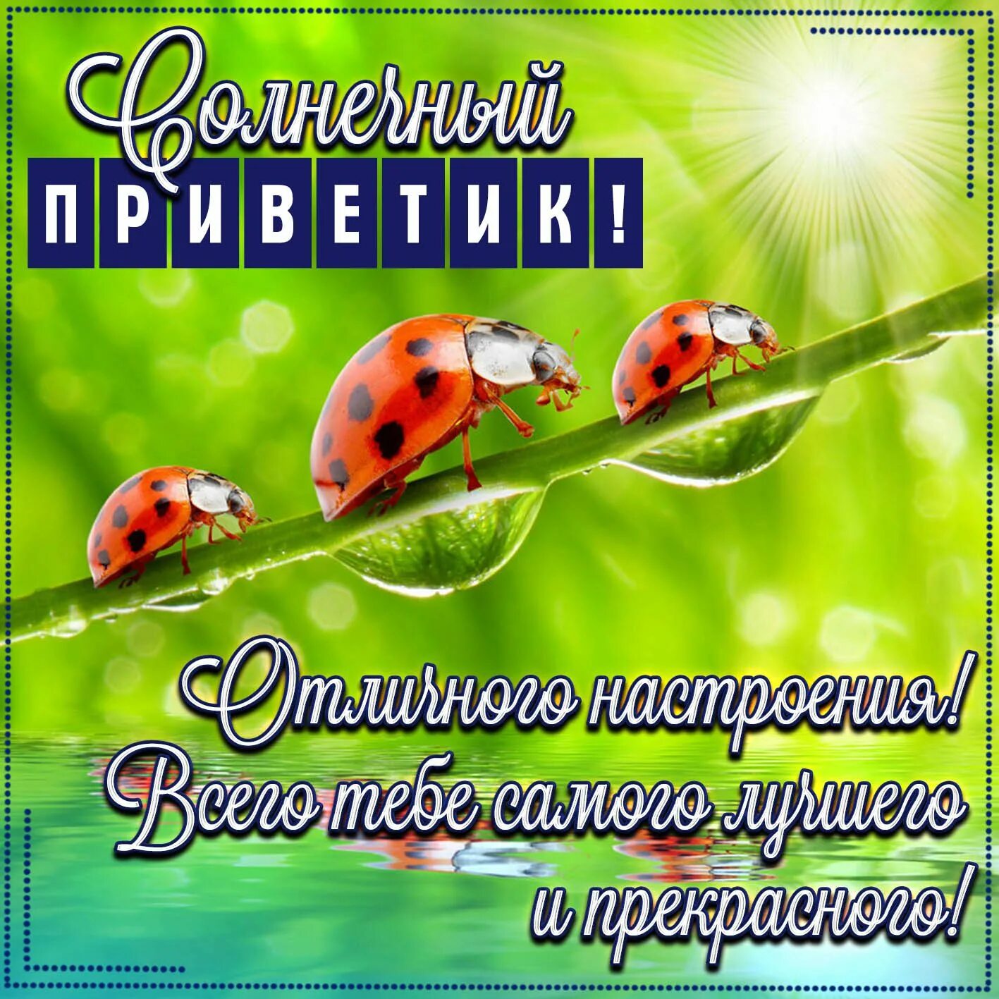 Доброго дня и привет от меня. Приветик хорошего дня. Открытки отличного настроения. Открытки с приветствием и пожеланием хорошего дня. Яркого дня и хорошего настроения.