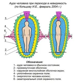 Биополе 4 буквы сканворд