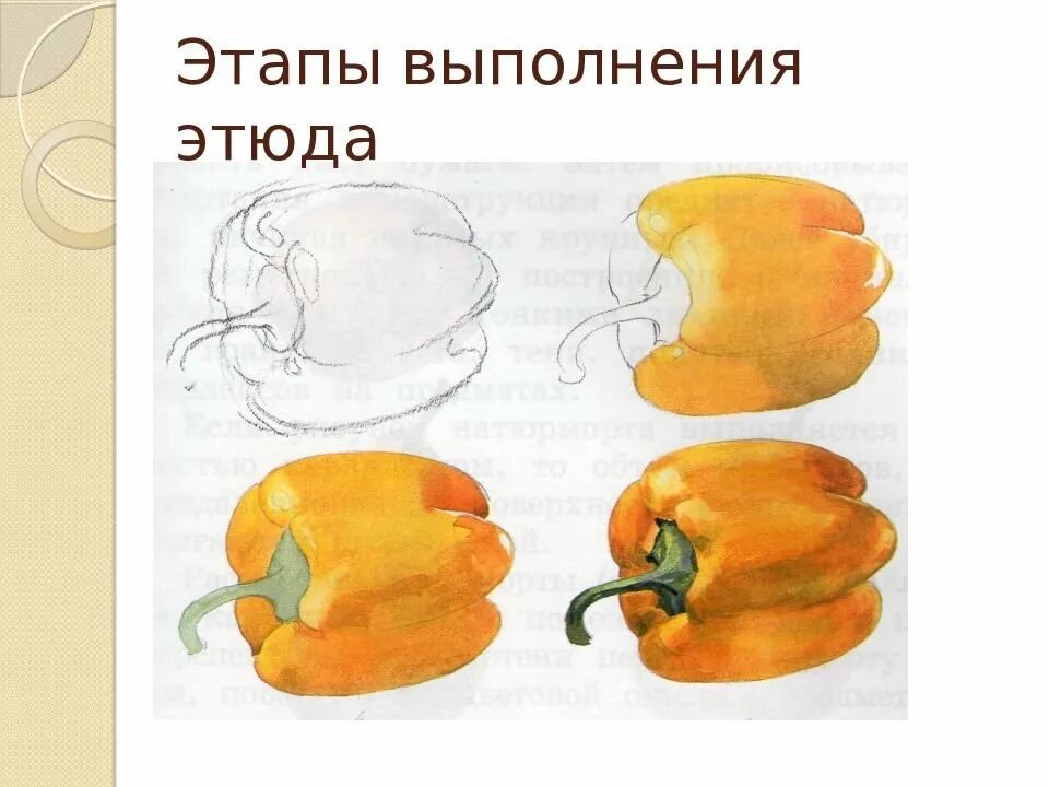 1 класс он перец класс