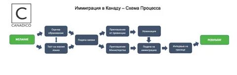 Иммиграция программы