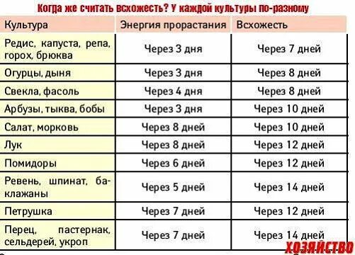 Перец всходы через сколько дней после посадки. Через сколько дней всходят огурцы. Через сколько всходят огурцы после посадки. Срок всхода семян огурцов. Срок прорастания семян томатов на рассаду.