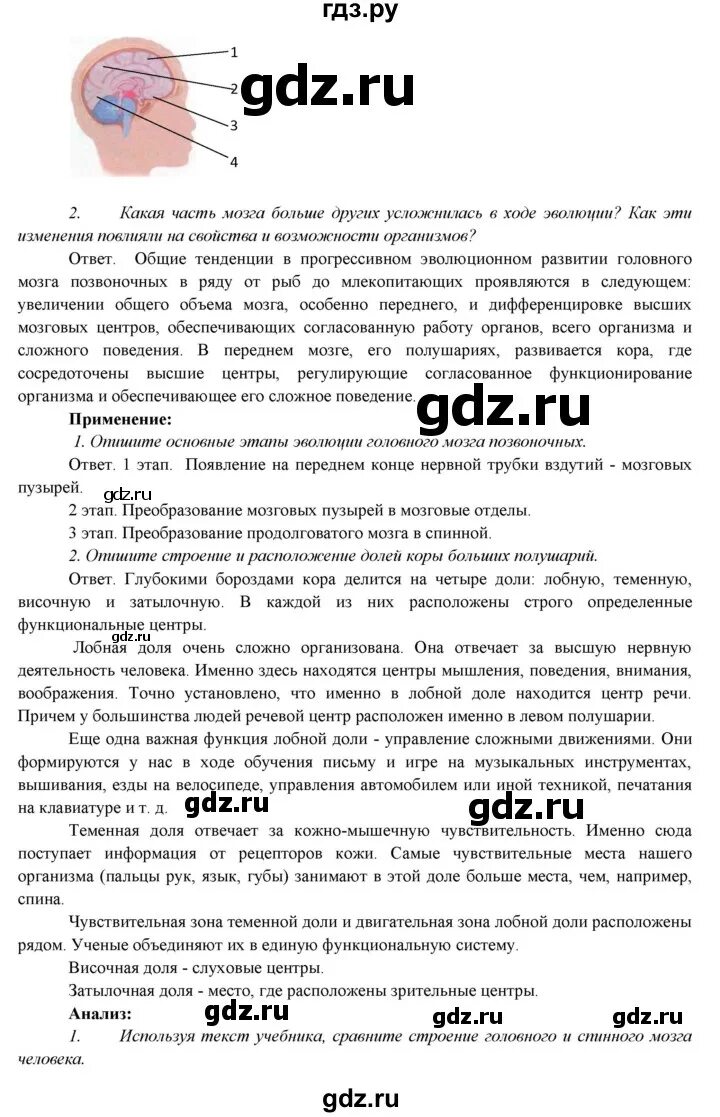 Страница 146 биология 5 класс. Страница 146 биология 5 класс