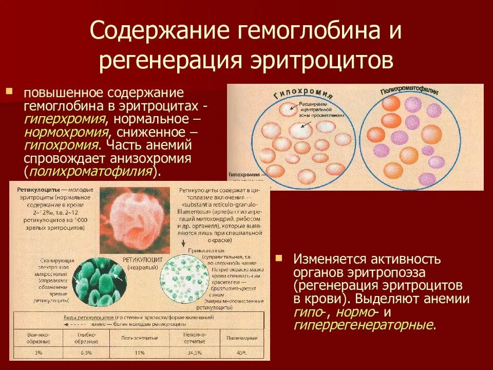 Эритроциты сильно повышены. Повышено эгитроцитв и гемоглобина. Повышение эритроцитов и гемоглобина. Повышение содержания эритроцитов в крови. Гемоглобин и Эритройит.