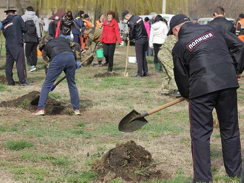 Погода село грушевское. Грушевское Ставропольский край. Александровский район Ставропольский край. Село Северное Ставропольский край Александровский район. Дуб в селе Александровское Кировской обл.