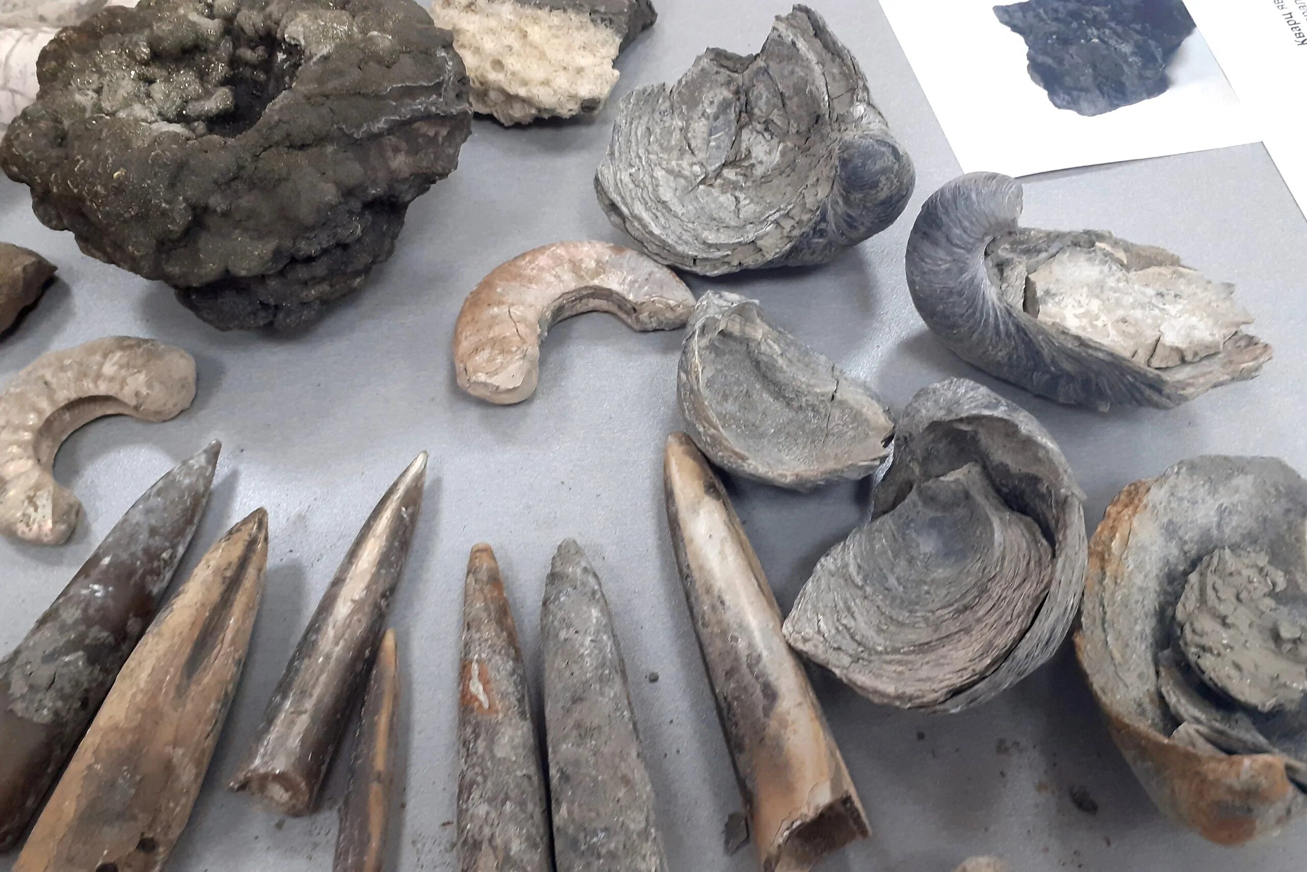 Unique finds