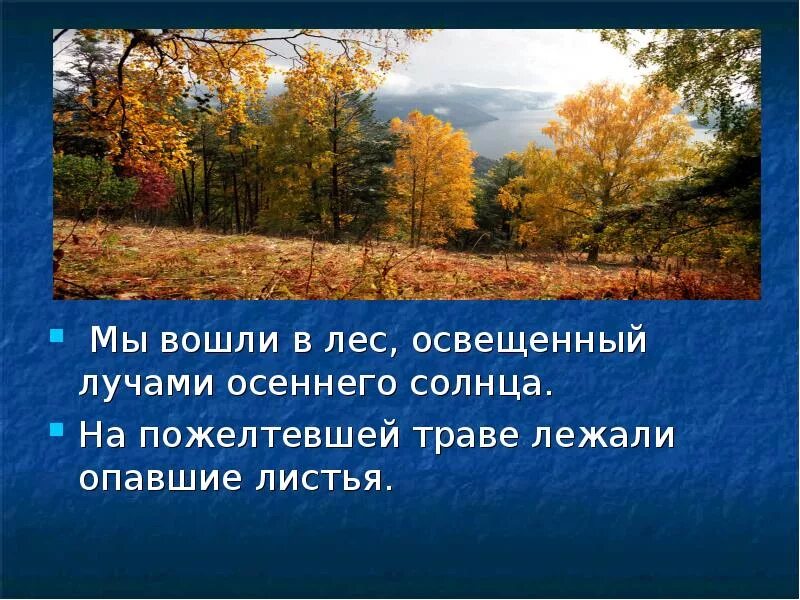 Распространите предложения пожелтели листья. Мы вошли в лес освещенный лучами осеннего. мы вошли в лес. мы вошли в лес который был освещен лучами осеннего солнца. листья в поле пожелтели.