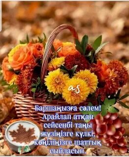 Тәтті егіз қыздар