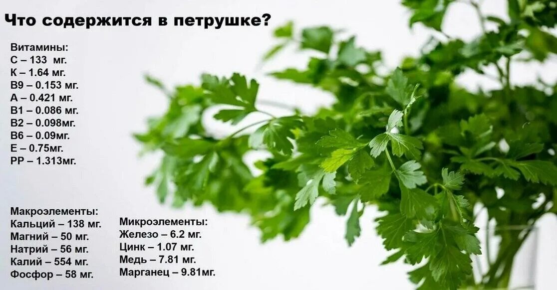 Зелень кбжу