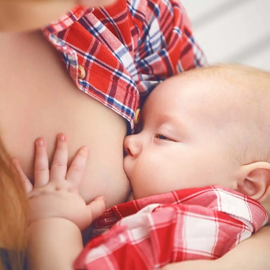 Best milk mom 2020. Mommy milk. Milking moms. Mommy milk art. Milking moms.