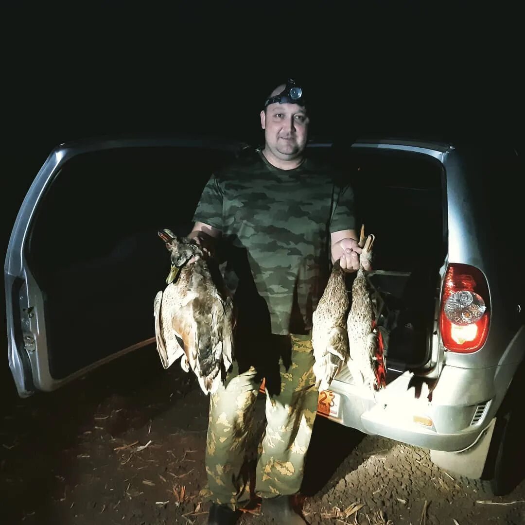 Сибирский странник. Hunting team mania. Охота на фазана с манком. Мания охоты. Hunting team mania.