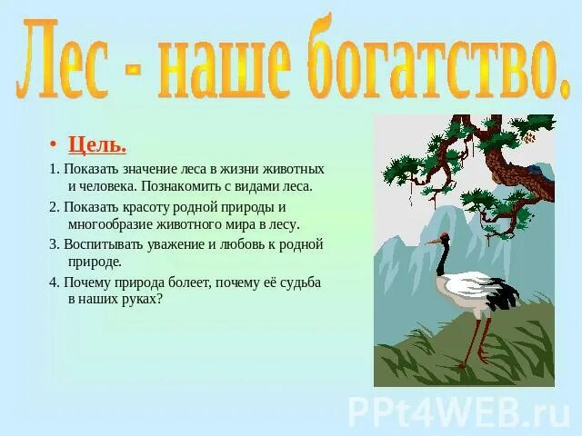 Проект лес наше богатство. Лес наше богатство цели и задачи. Мероприятие на тему лес наше богатство. Проект по теме лес наше богатство. 1 лес наше богатство