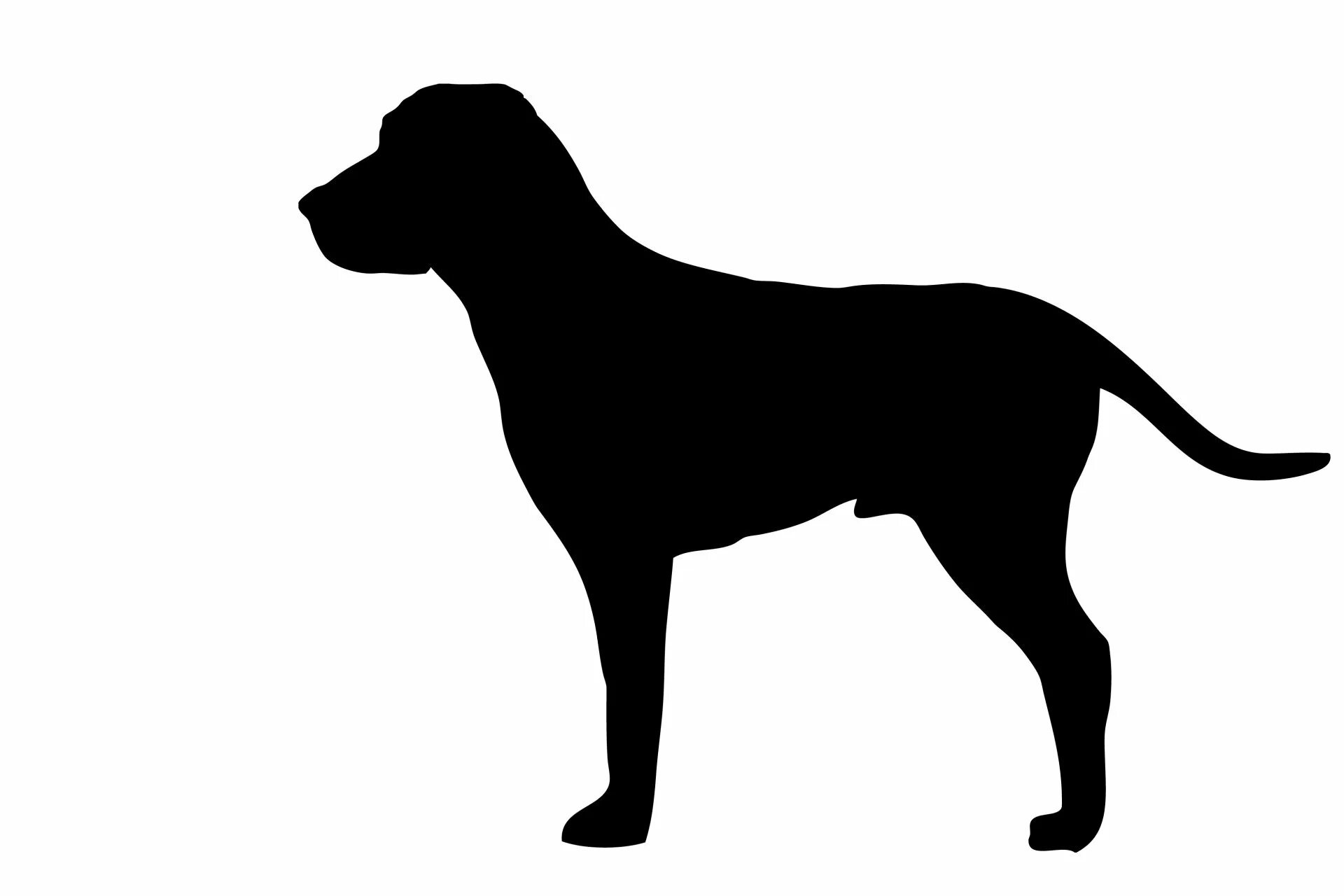 Рисунки черных собак