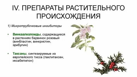 Происхождение растений тест