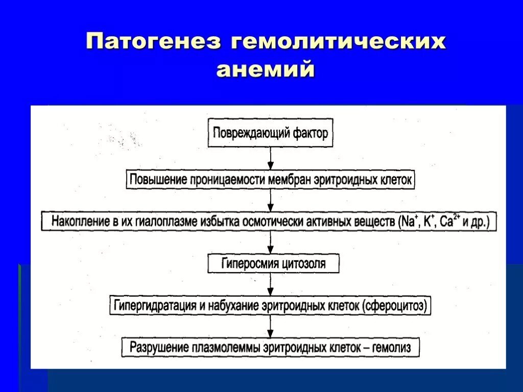 Патогенез и клиническая картина. Гемолитическая анемия патогенез. Патогенез приобретенной гемолитической анемии. Гемолитическая анемия патогенез схема. Патогенез гемолитические приобретенные.