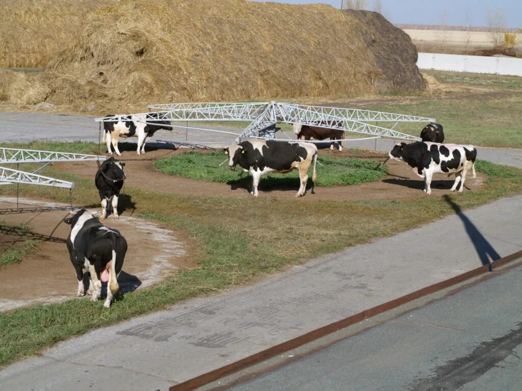 работа уборщица. усмань работа уборщицы. усмань работа уборщицы. усмань работа уборщицы. уборщик административных помещений.