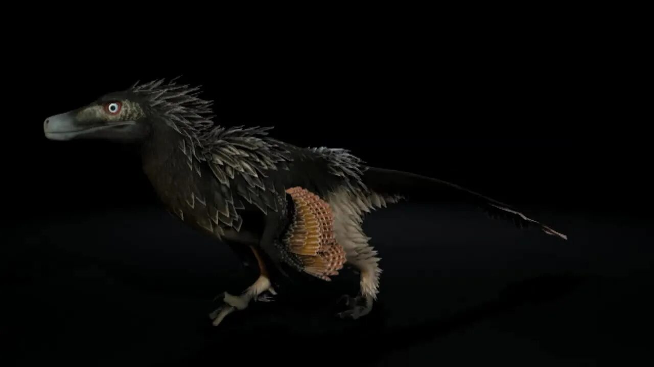 Saurian. Acheroraptor saurian. дакотараптор saurian. saurian игра. saurian (video game).
