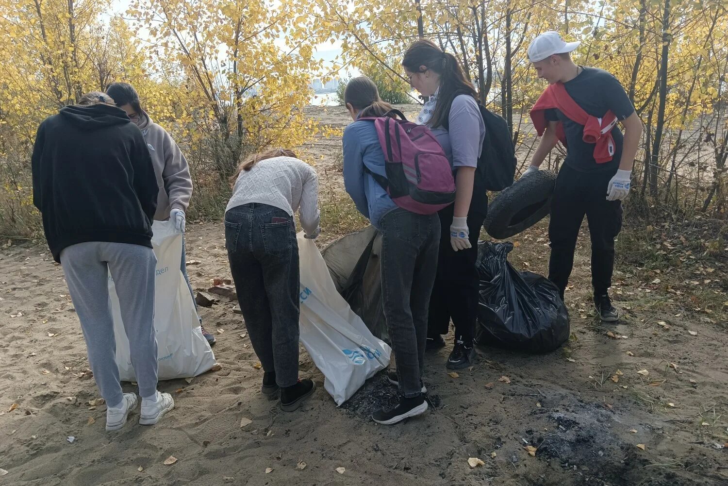 Экология Новосибирск. Волонтеры. Экологические волонтеры. Волонтеры фото. Сайт экологии новосибирской