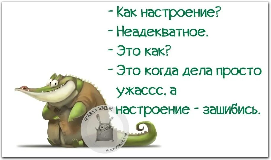 Что ответить на вопрос как настроение. Как настроение. как дела как настроение. как настроение неадекватное.