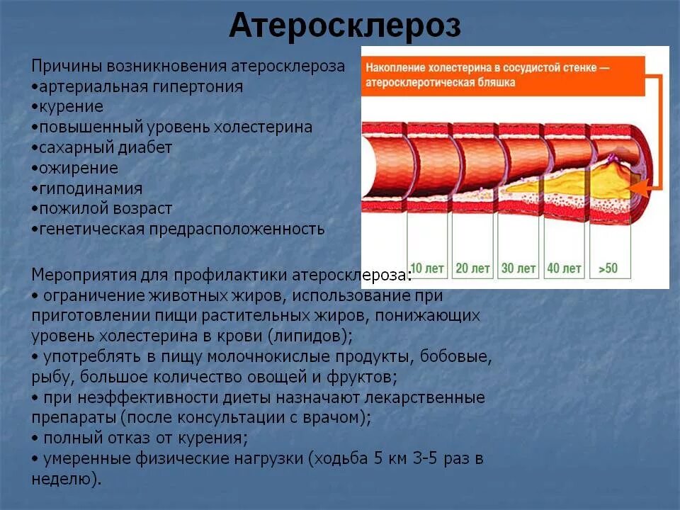 Операция при атеросклерозе сосудов. Развитию атеросклеротических поражений сосудов способствуют. Причины развития атеросклероза сосудов. Атеросклероз относится к группе заболеваний.