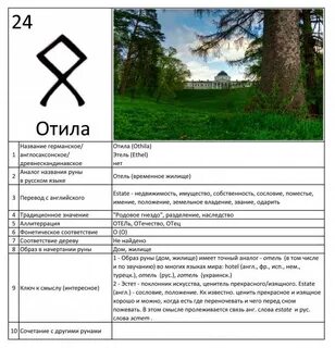 Руна одала значение