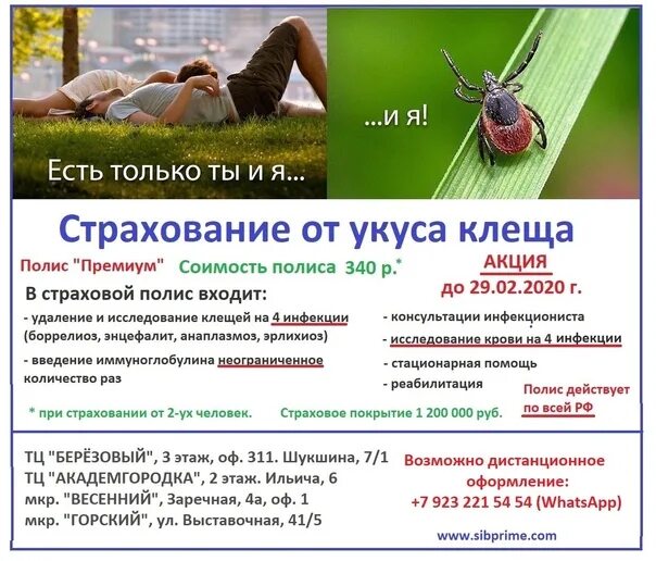 Страховка от клеща ярославль. Страхование от клеща. страховка от клещевого энцефалита. реклама страховки от клеща. страхование от укуса клеща.
