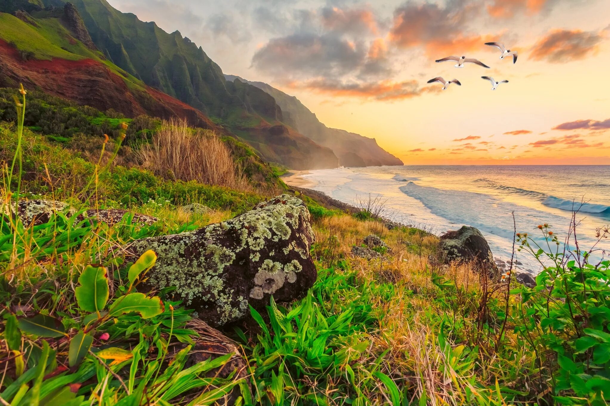 Nature search