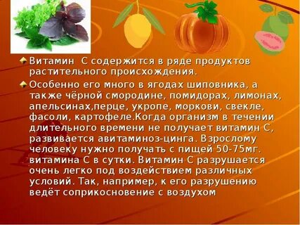 Какие витамины в моркови и печени