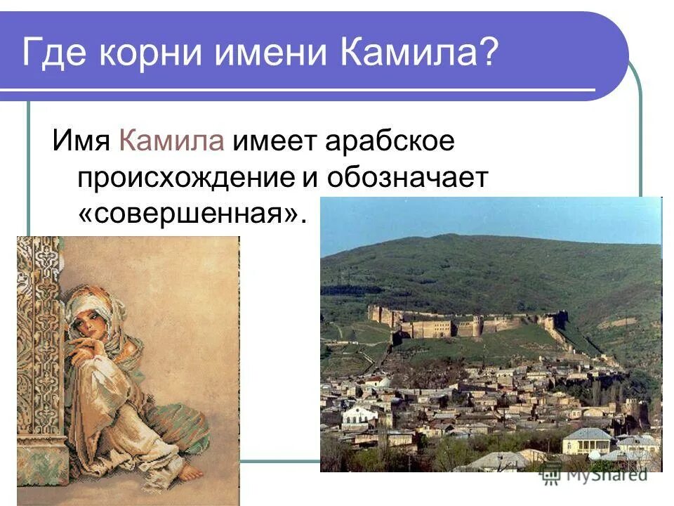 Камил имя национальность. Происхождение имени камилла. проект тайна имени камилла. тайна имени камилла. рассказ о имени камилла.