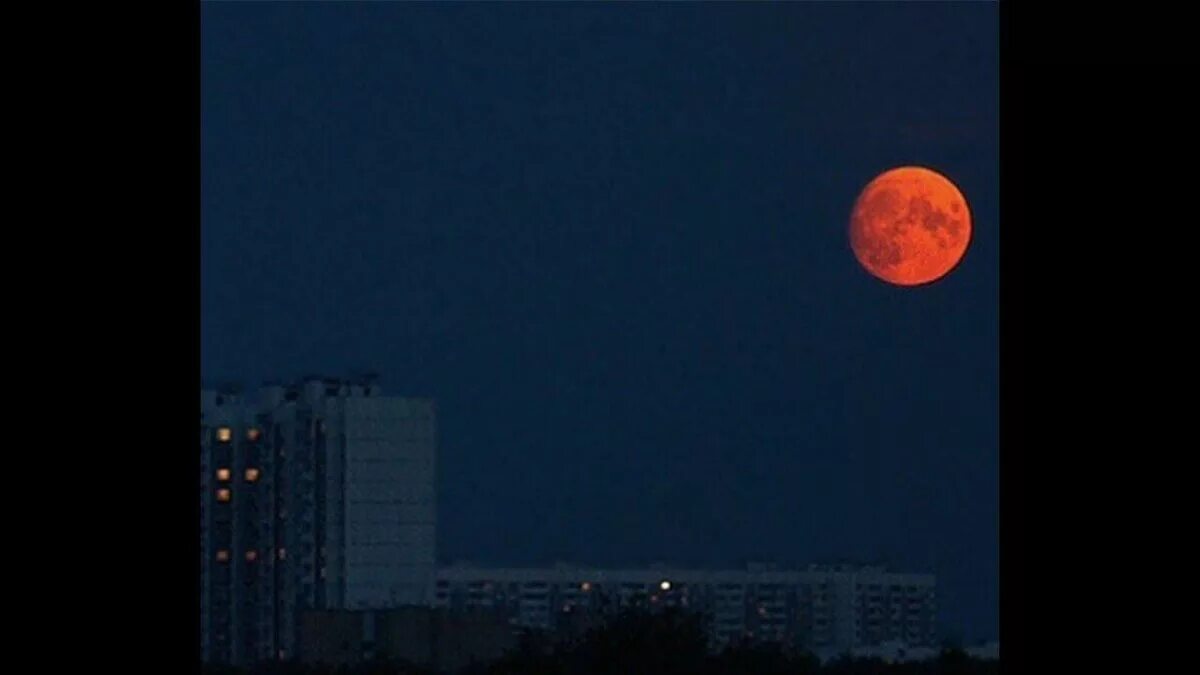 Почему сегодня луна оранжевая. Бывает красная Луна. Что если Луна красная. Когда бывает красная Луна. Низкая красная Луна.