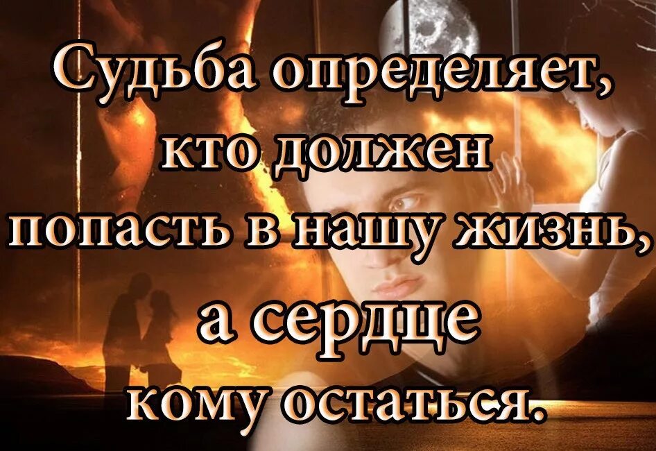 Определить судьбу жизни. Фразы про судьбу и любовь. цитаты о судьбе и жизни. цитаты про судьбу и любовь. статусы про судьбу.