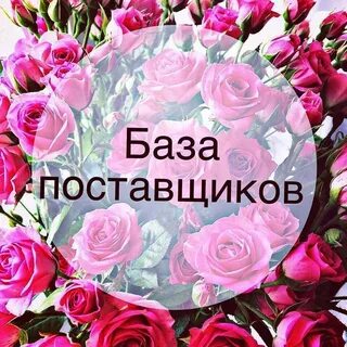 Ссылка поставщиков