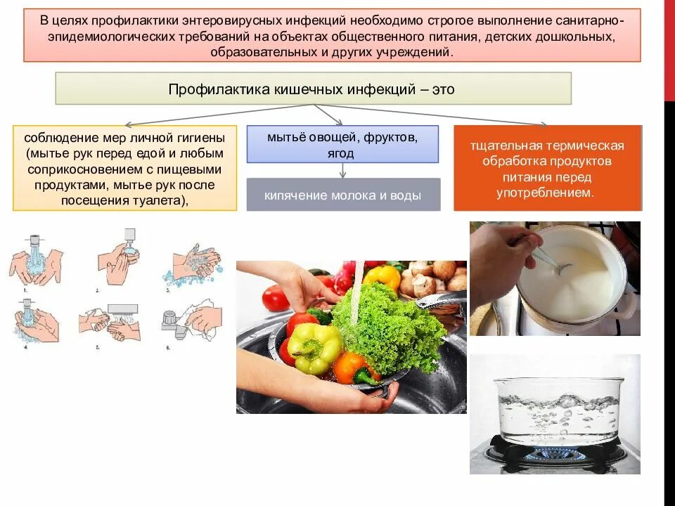 Гигиенические меры профилактики. Меры профилактики острых кишечных инфекционных заболеваний. Меры профилактики при кишечных инфекциях. Профилактика кишечных инфекций на предприятии общественного питания. Профилактические мероприятия при острых кишечных инфекциях.